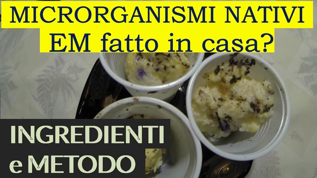 i MICRORGANISMI NATIVI (elaborare la SOLUZIONE MADRE)