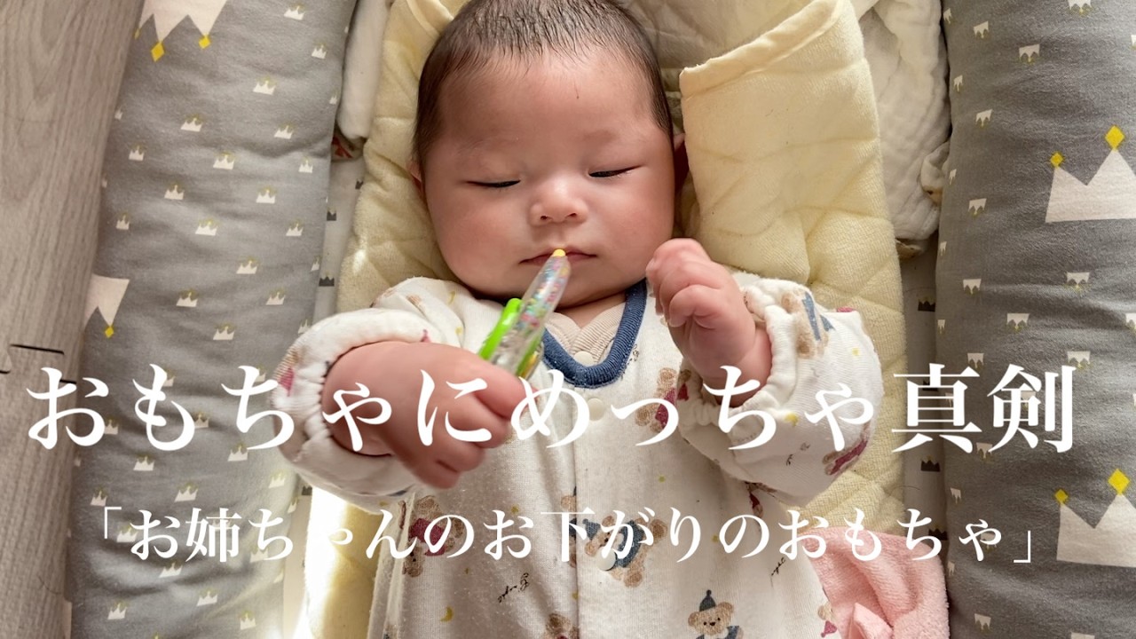 おもちゃに真剣な眼差しすぎる