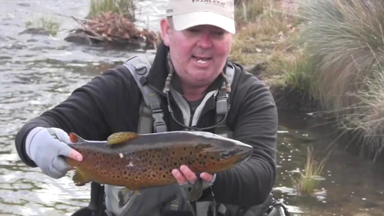 Gavin Hurley fly fishing in Jindabyne