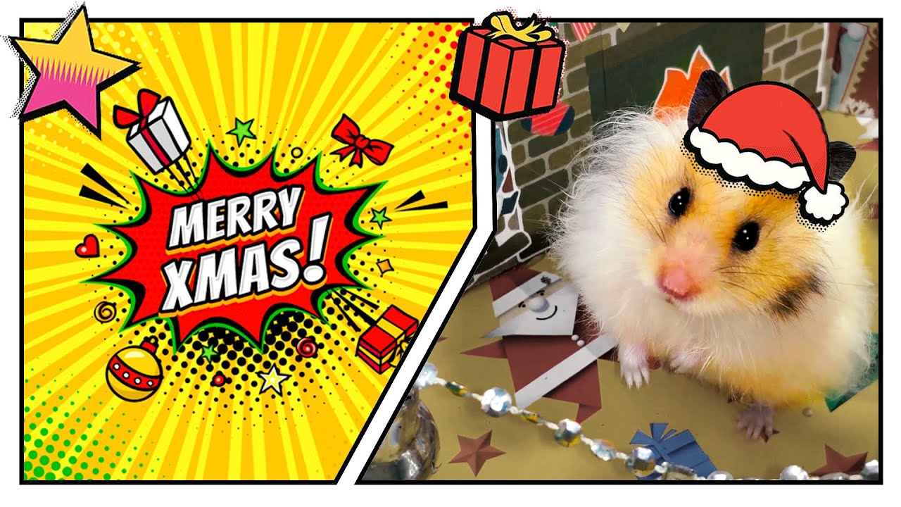 🎁🎅 Потрясающий 🎄Новогодний лабиринт для милого 🐹 хомяка - 4 этажа.