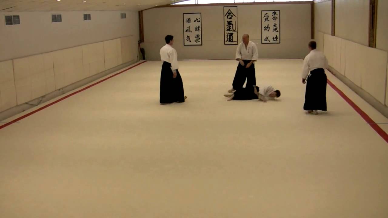 Aikido: Multiple Attack Randori - Incorporating Aiki-Nage