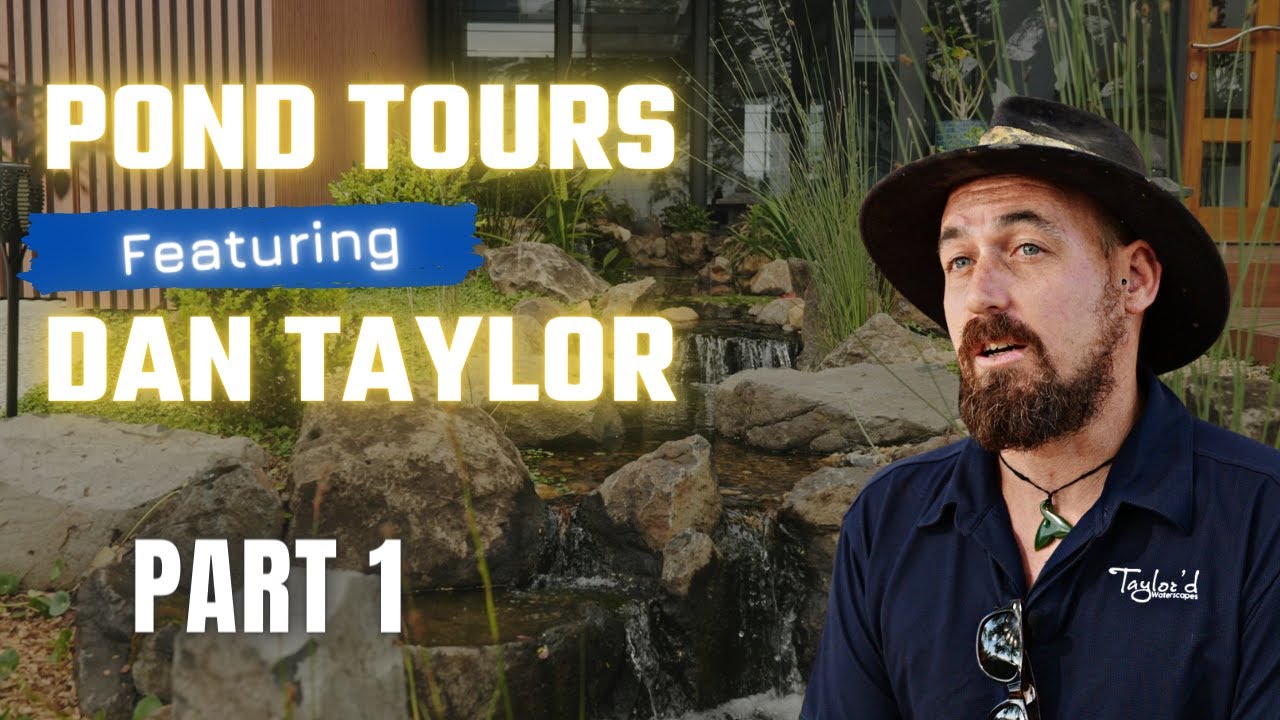 Mooloolaba Pond - Taylor&rsquo;d Waterscapes Pond Tour Part 1