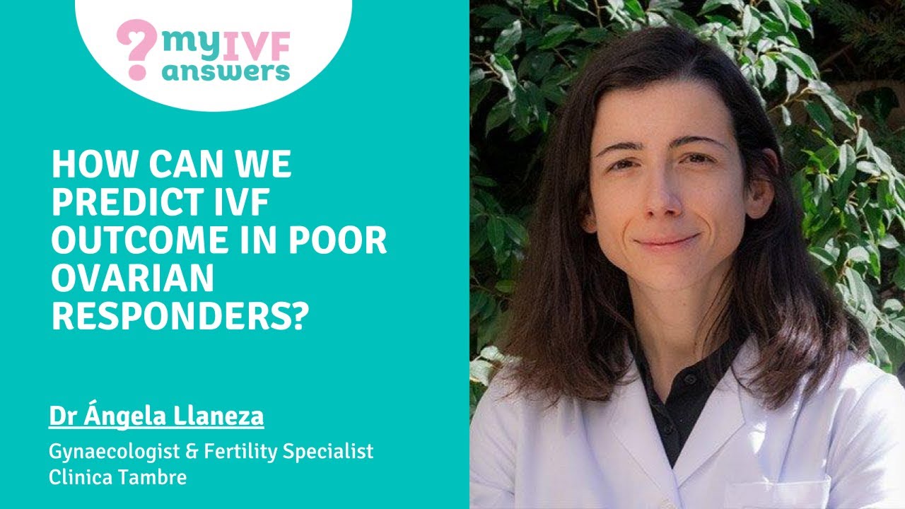 How can we predict IVF outcome in poor ovarian responders? | Clinica Tambre