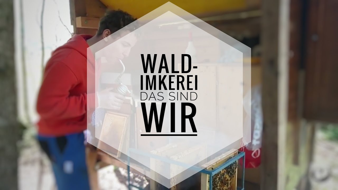 Wald-Imkerei