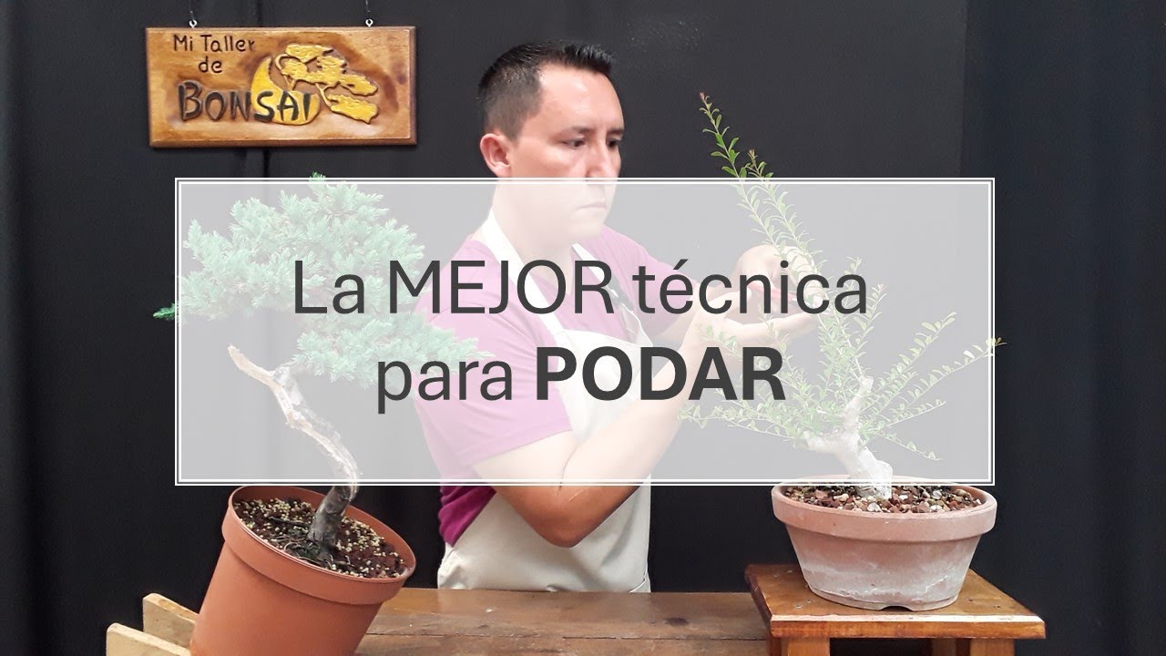 La MEJOR técnica para PODAR