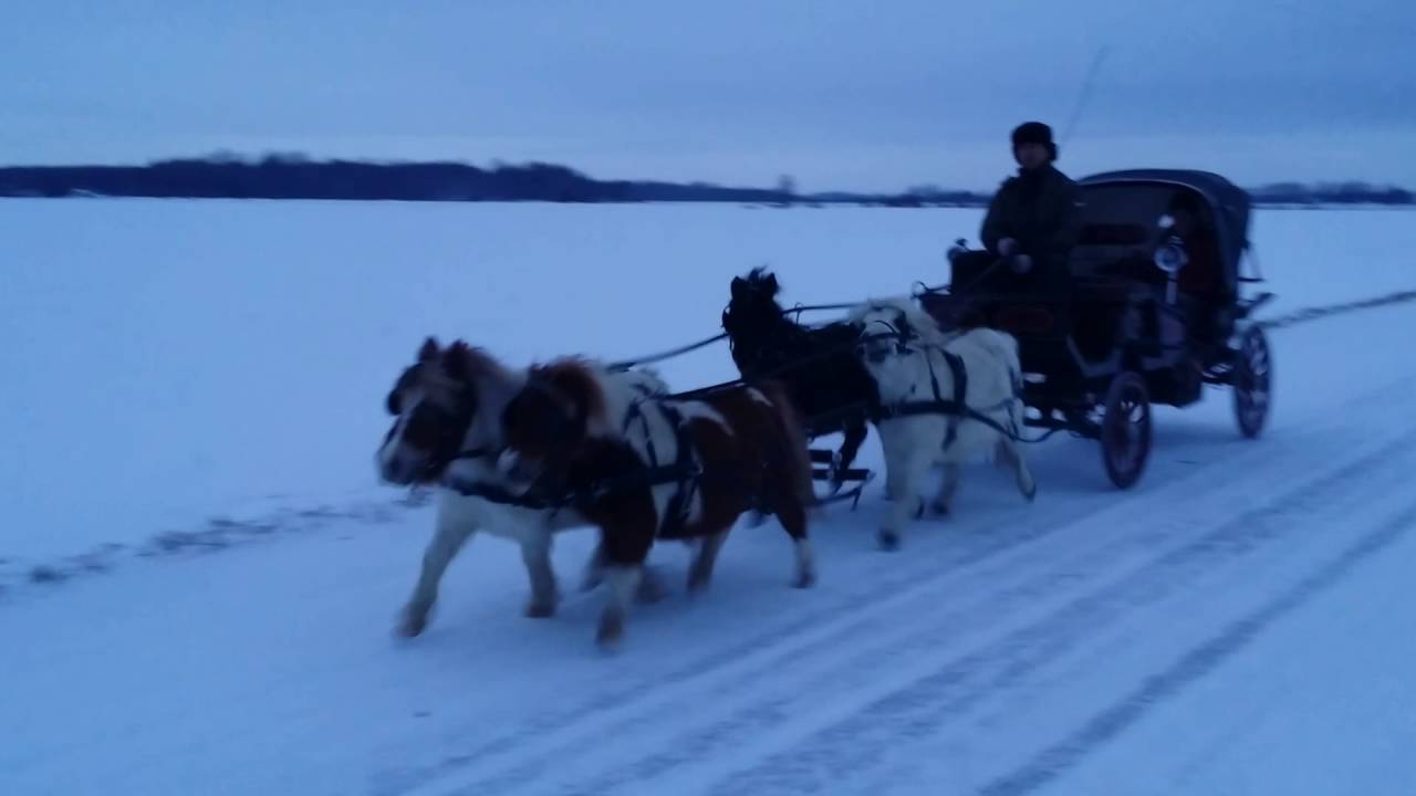 Ponirakend Laane Tallides