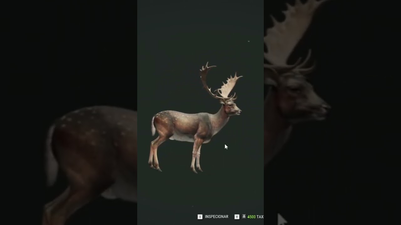Gamo DIMA que apareceu na &uacute;ltima live! Parte 2 🔫