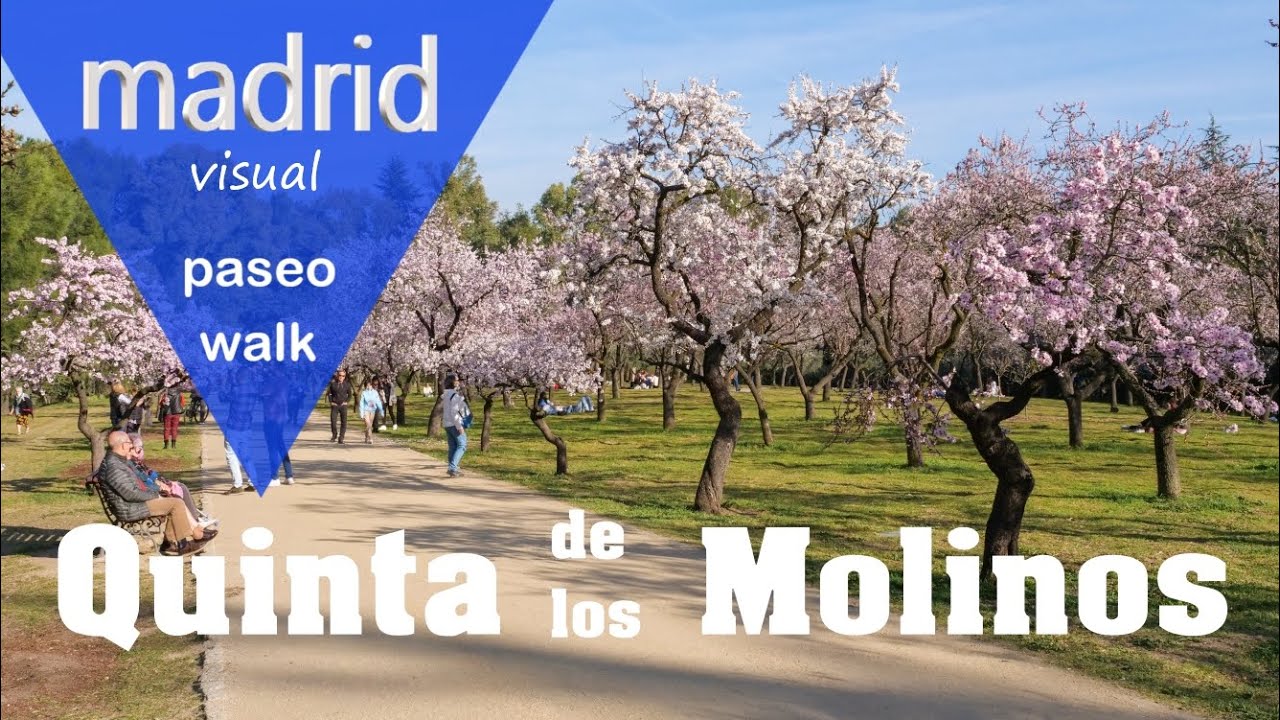QUINTA de los MOLINOS 🌺 Madrid walk 🚶‍♂️ALMENDROS en FLOR