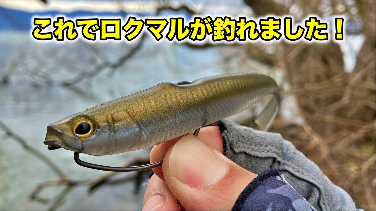 ドリフトフライメロウ5.2のアラバマでロクマルが釣れました！琵琶湖バス釣り