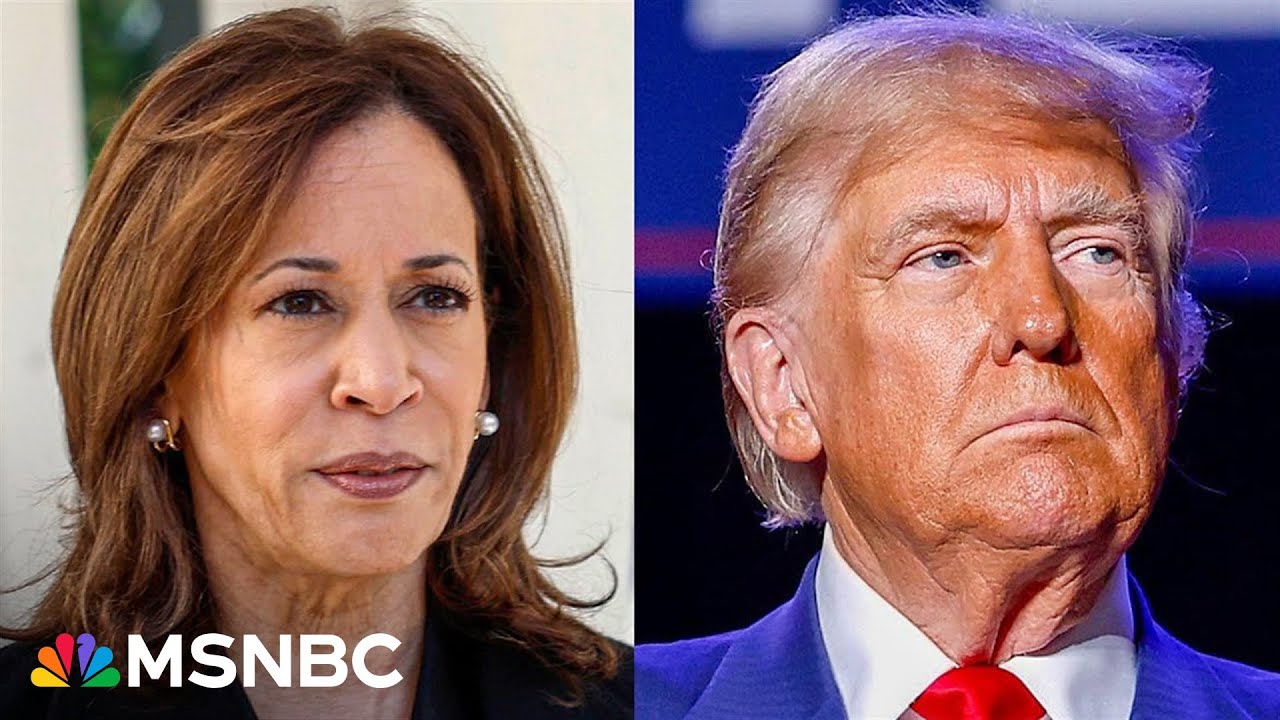 Countdown to the 2024 election: Day 10 | MSNBC Highlights