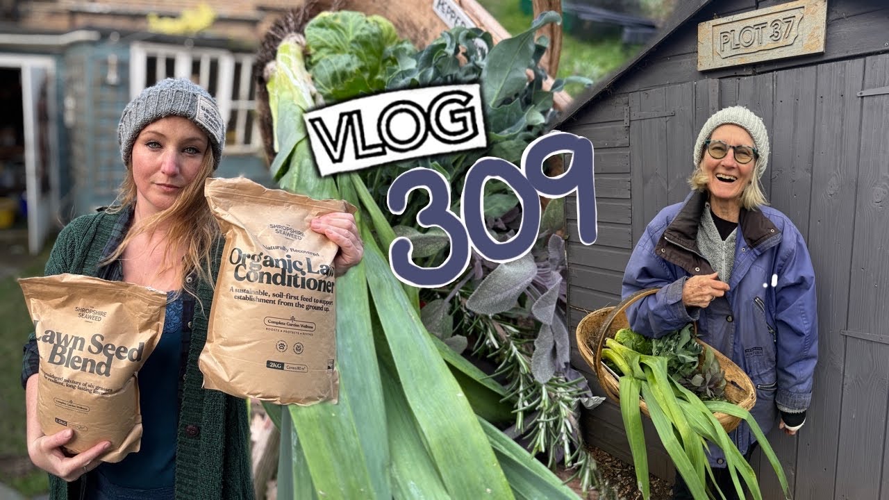Back Garden Project Begins! + Allotment Harvests and Seed sowing Ep 309 || Plot 37