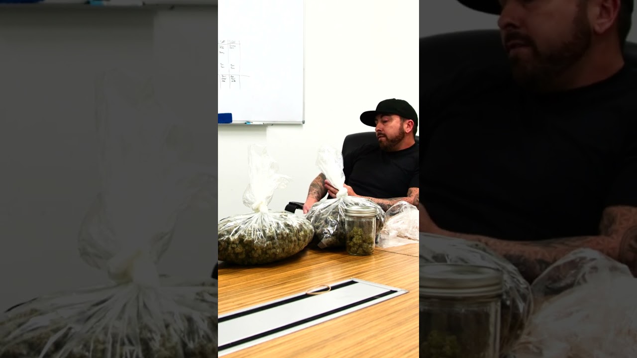 SoCalDank x Drip Hydro