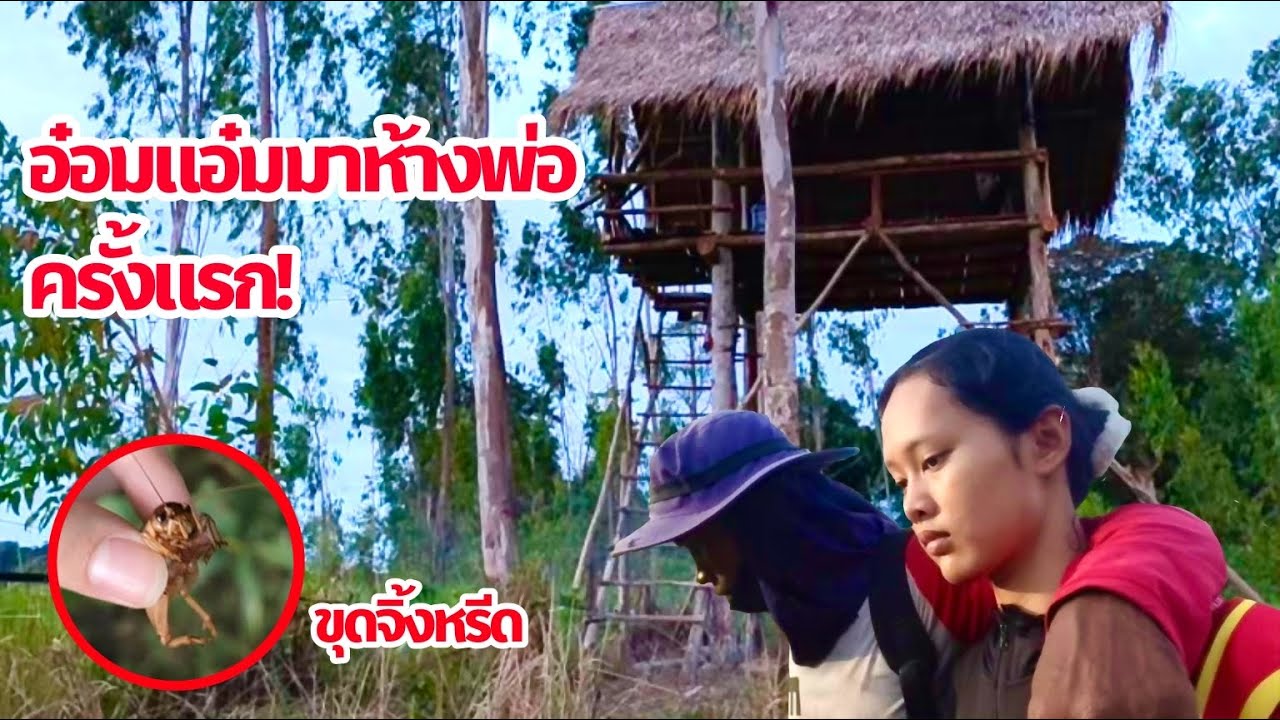 วันนี้พาน้องอ๋อมแอ๋มมาห้างนาดงหนองมะกอกครั้งแรก  23/10/2568 | เด่นเดินดง