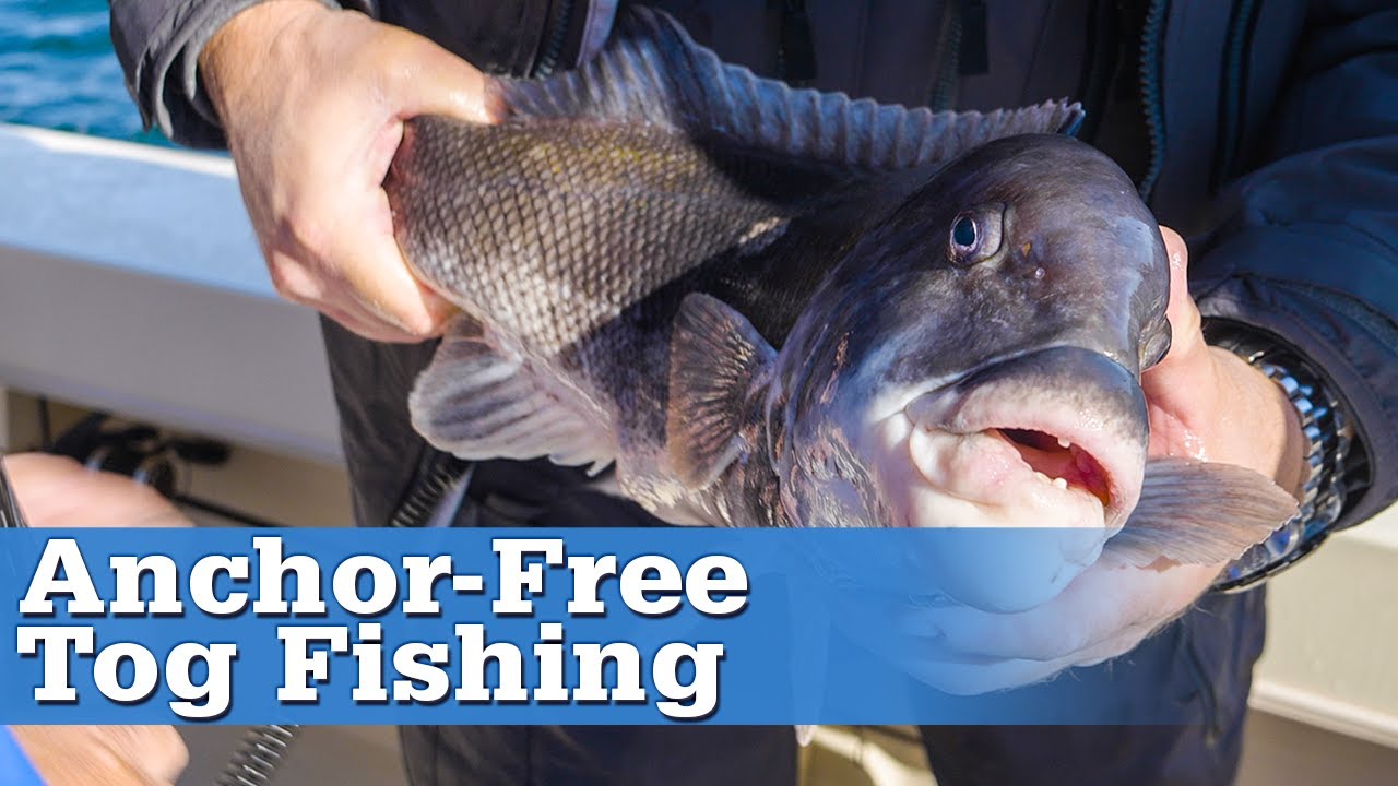 Anchor-Free Tautog Fishing in Rhode Island | S17 E10
