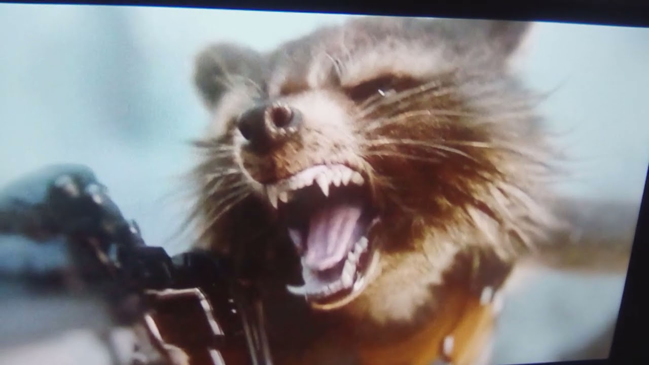 Rocket Raccoon Screams Like Fink