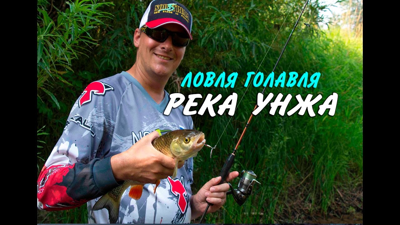 Ловля голавля на реке Унжа