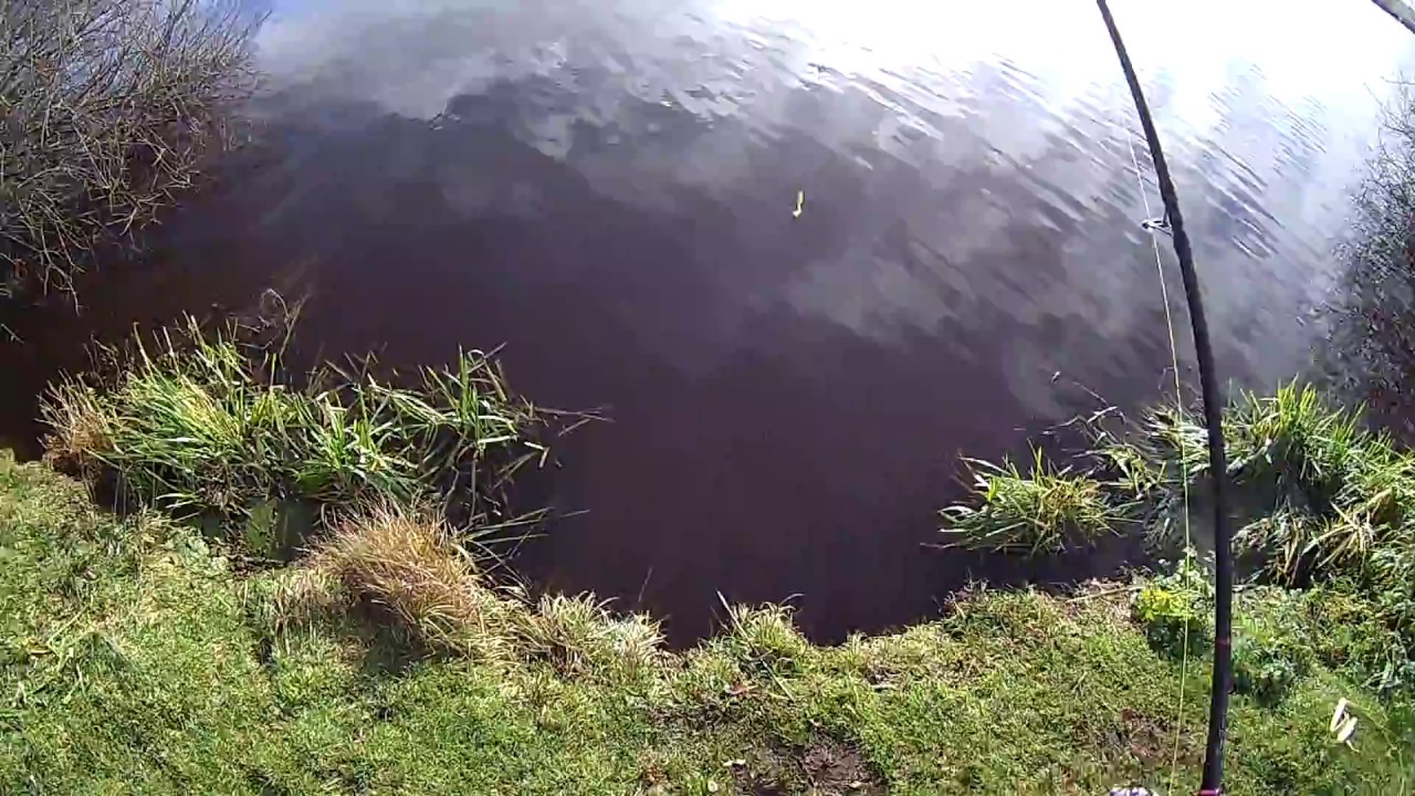 Carolina Rig grudniowy spinning