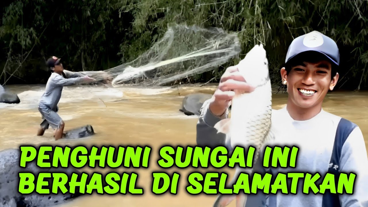 Menjala Ikan di Spot Dangkal Dapat Hampala Monster