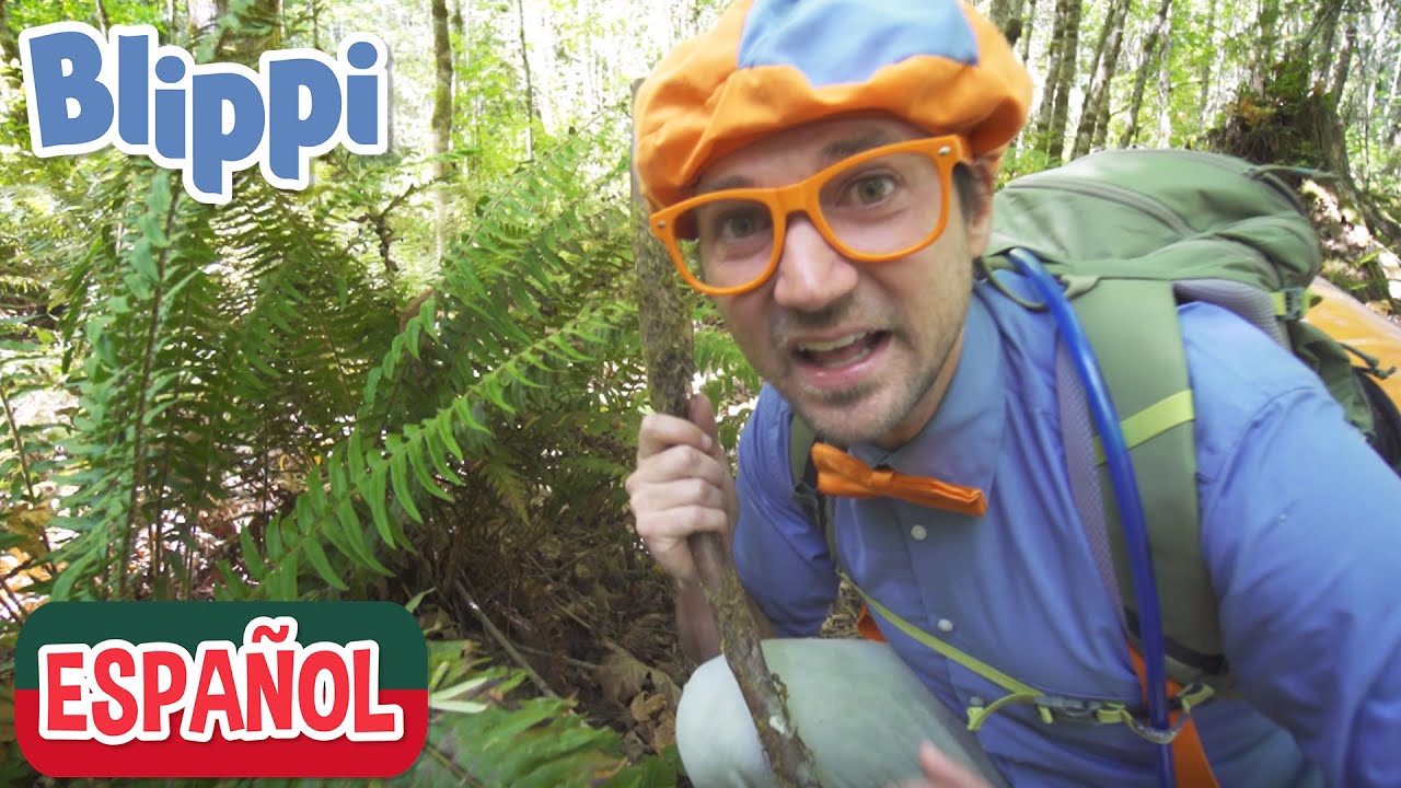 Blippi visita un Campamento  | Aprende con Blippi | Videos Educativos