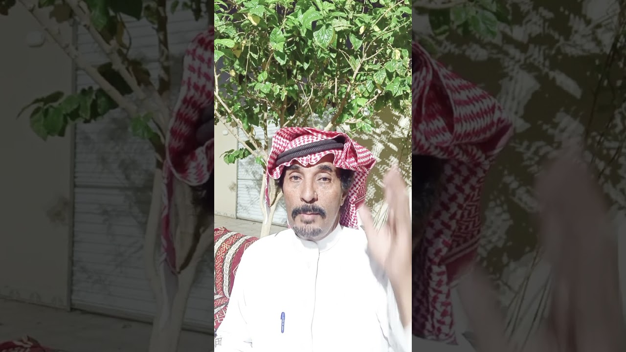 قصه الراعي السوداني مع الذيب ١٦٥