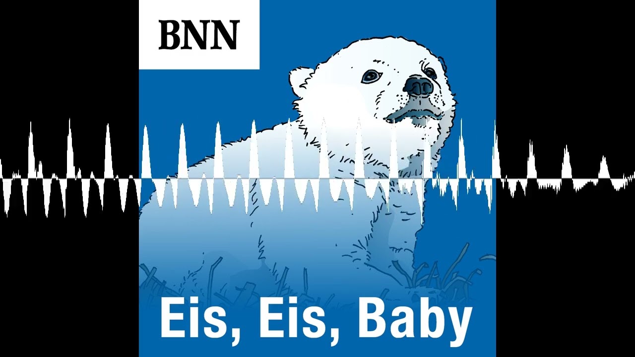 Eisbär-Nachwuchs Mika in Karlsruhe liefert wichtige Daten für Artenschutz-Forschung - Eis, Eis, Baby