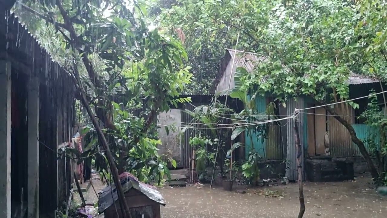 22 minutes of Heavy rain Falling on Tin roofs of Bangladesh Countryside Village