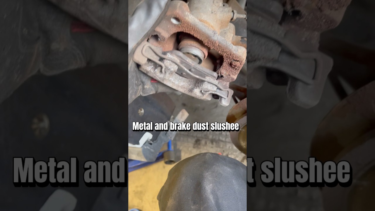 POV your in phase 1 of the big plan 