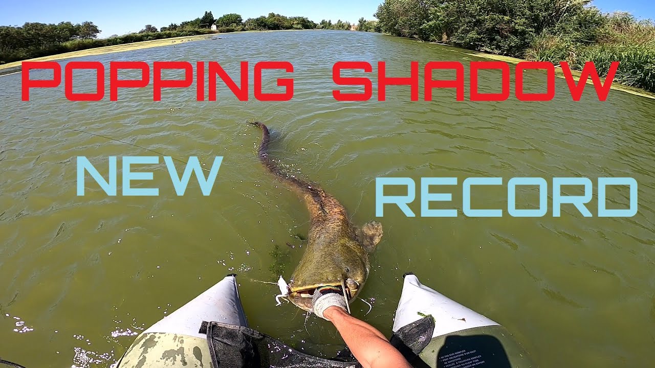 Silure : Je bat mon record en 38 secondes !!!
