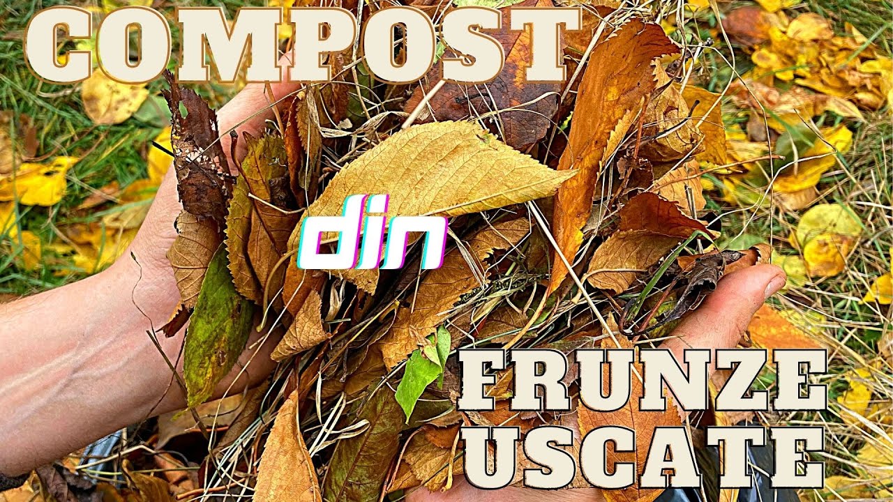 Cum sa faci COMPOST din FRUNZE USCATE pas cu pas - metoda simpla