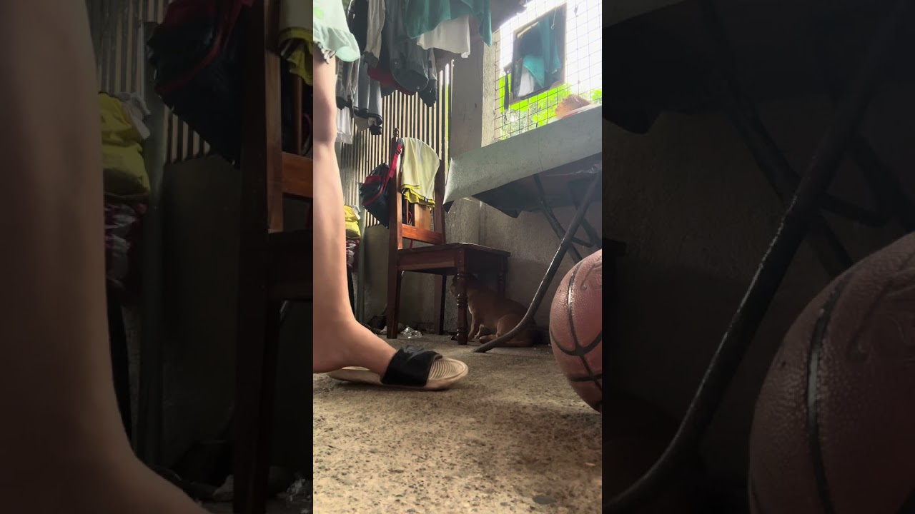 Dangle w/ different slippers 🥿 😁