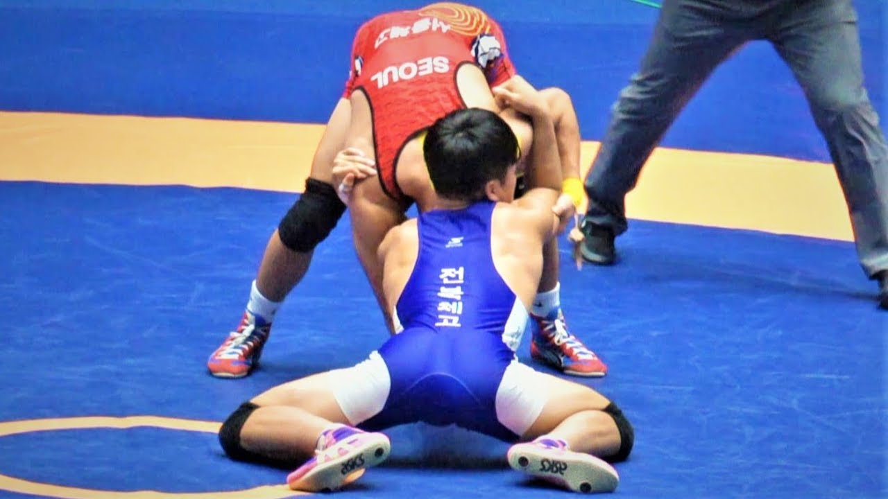 Korean Freestyle Wrestling 레슬링 - 100th National Games