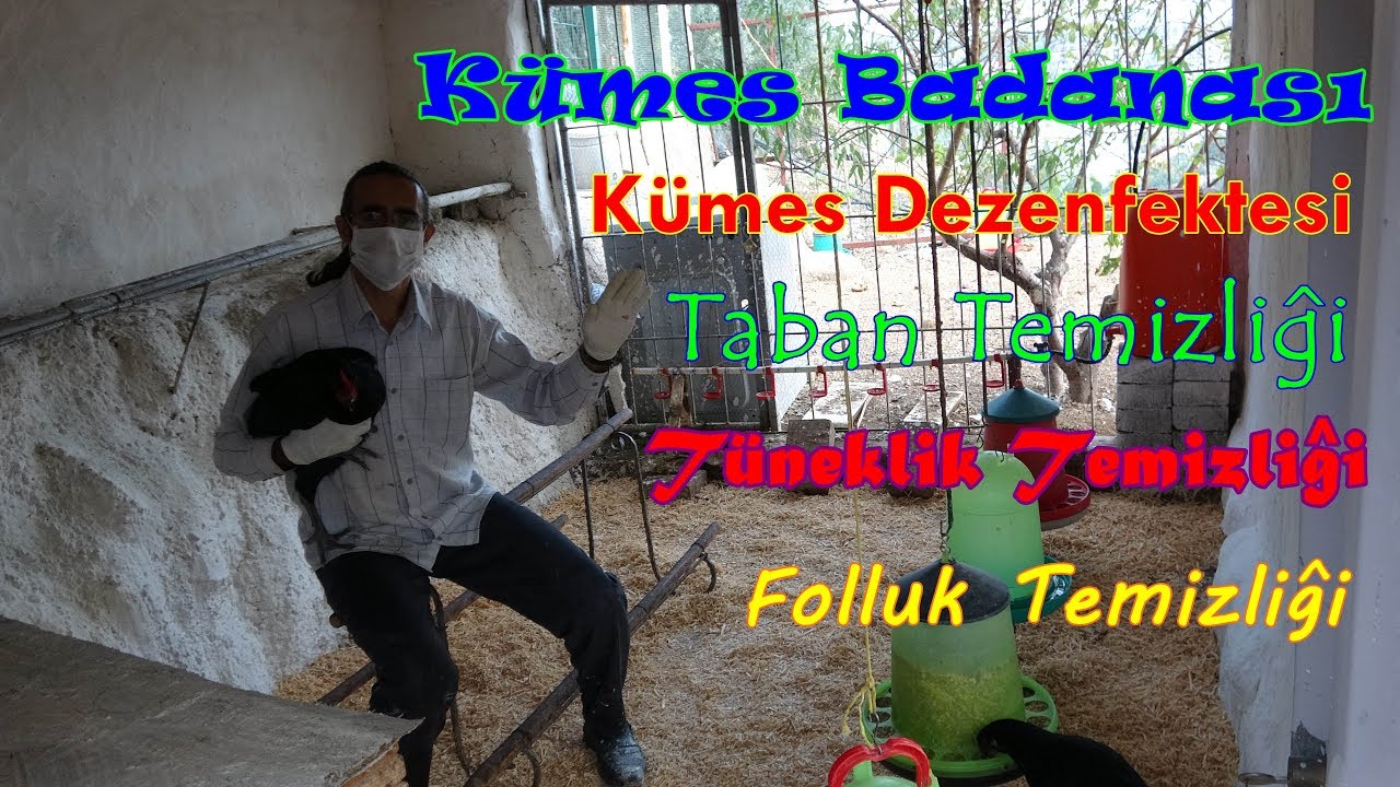 Detaylı Kümes Temizliği Nasıl Yapılır?