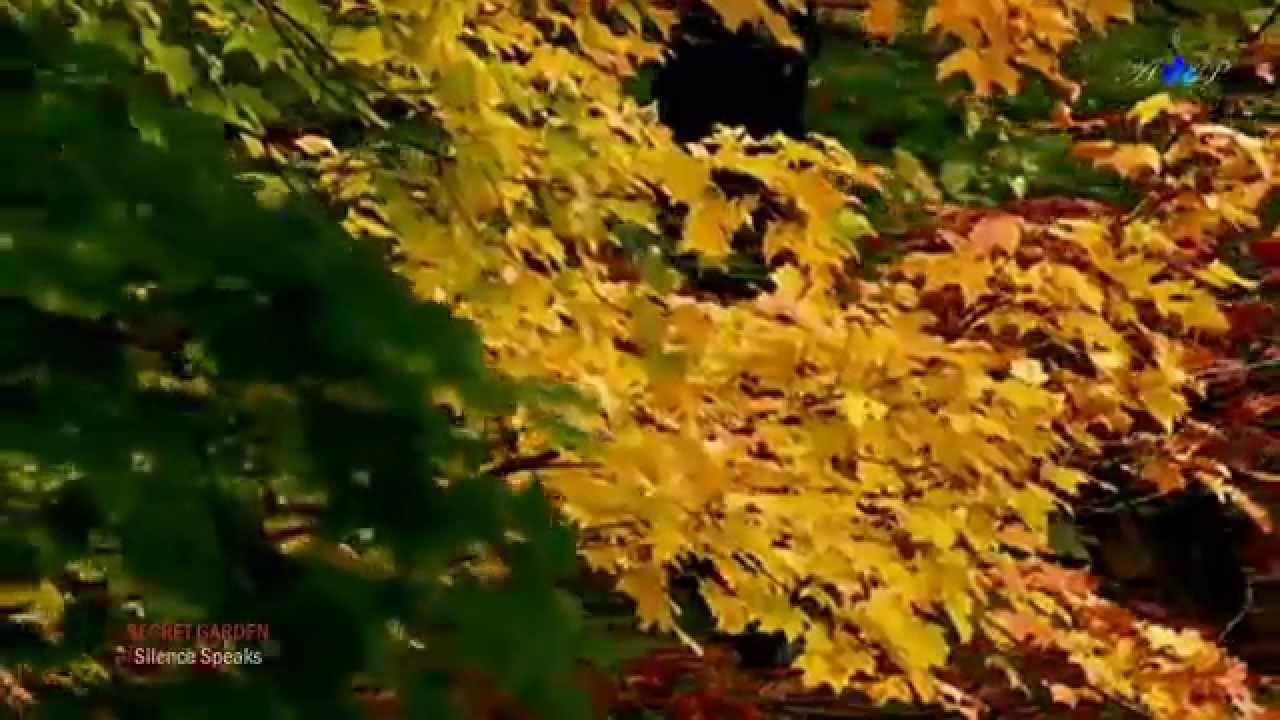 ♡ SECRET GARDEN - Silence Speaks