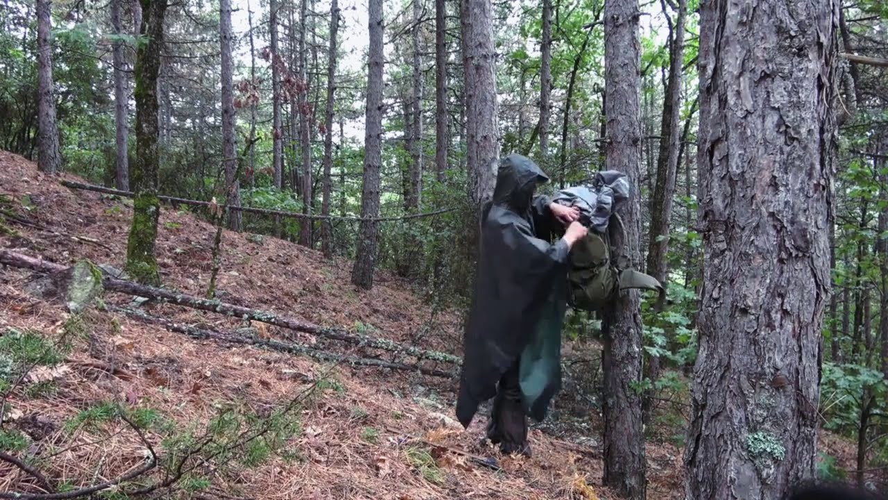 Tree shelter bulding on  the  mountain in the forest with overlooking to Olympus, ( long version )