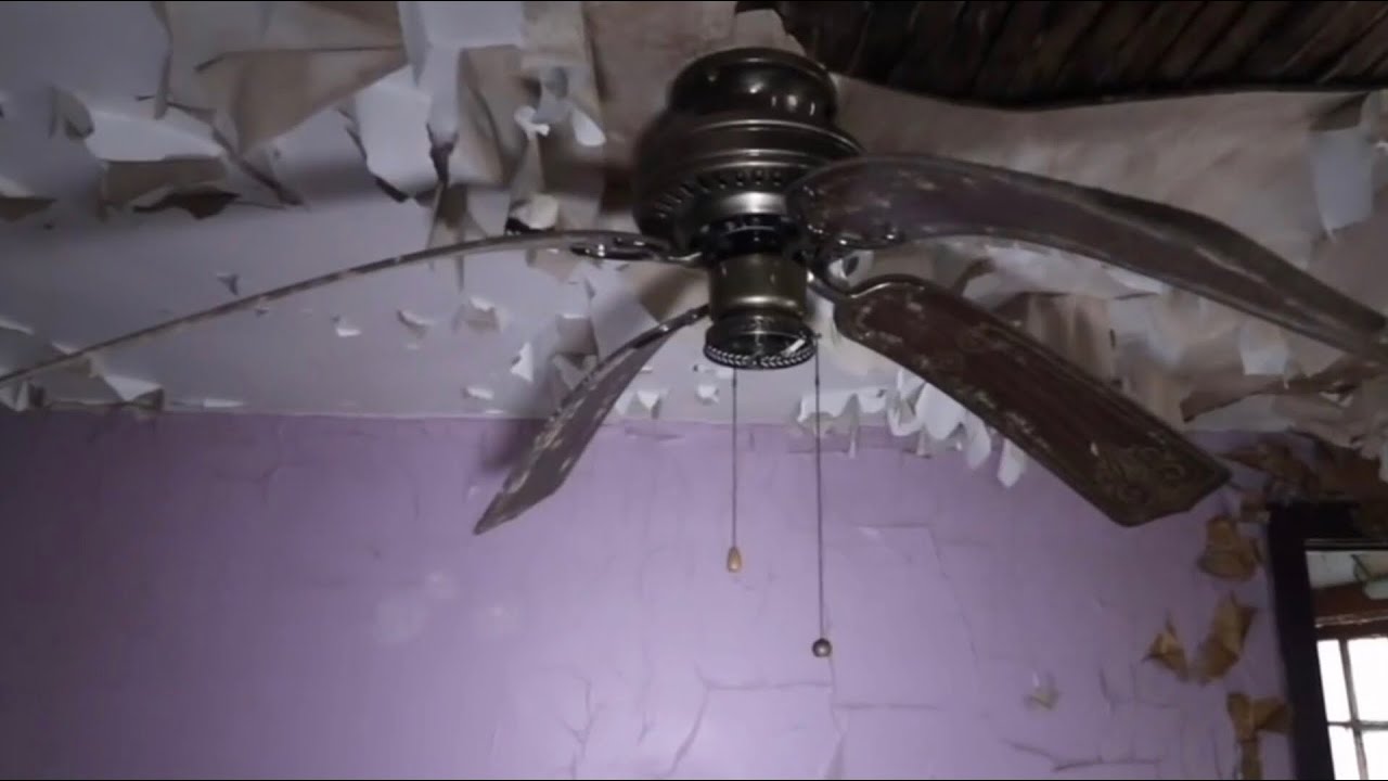 abused ceiling fans 2.5