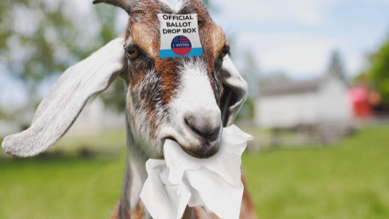 Clearing Up Ballot Box Confusion