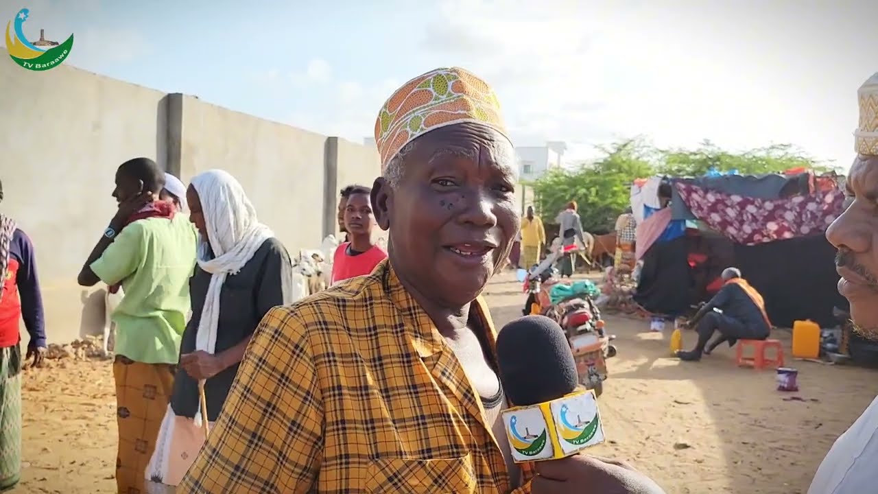 Harakati Za Hoola Mbuzi Na Ngombe Muyi Wa Miini June 2, 2025