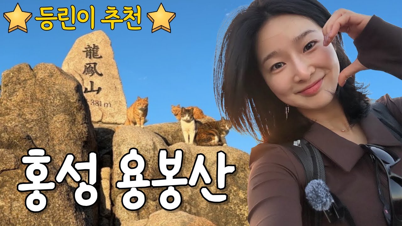 없는게 없는 용봉산! (feat. 고양이 천국🐱, 혼자 등산)