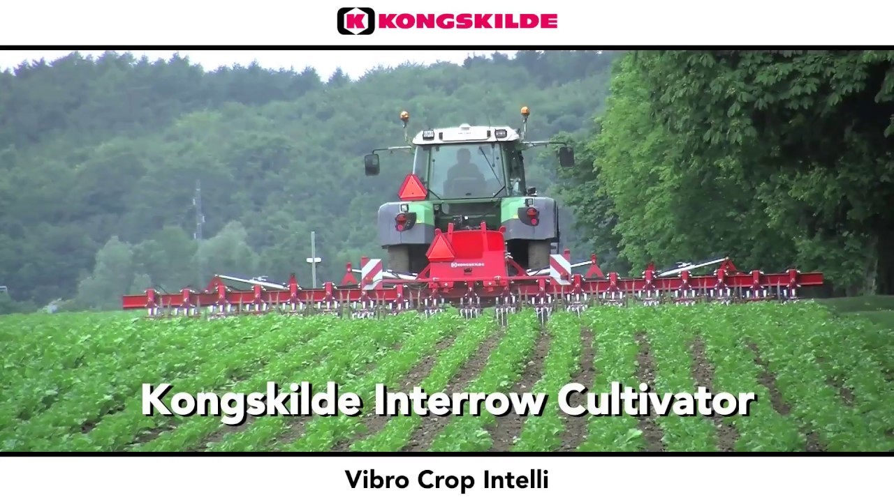 Kongskilde Vibro Crop Intelli rugós kapás sorközművelő kultivátor