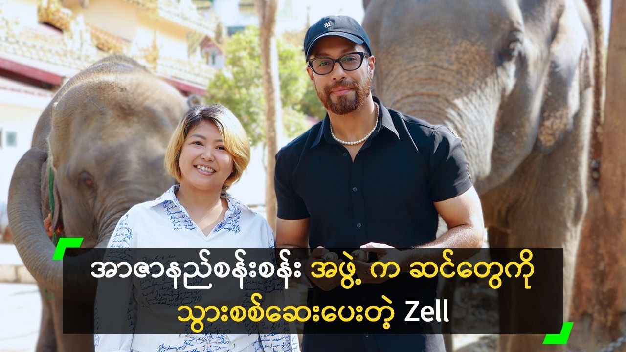 အာဇာနည်စန်းစန်းအဖွဲ့ က ဆင်တွေကို သွားစစ်ဆေးပေးတဲ့ Zell