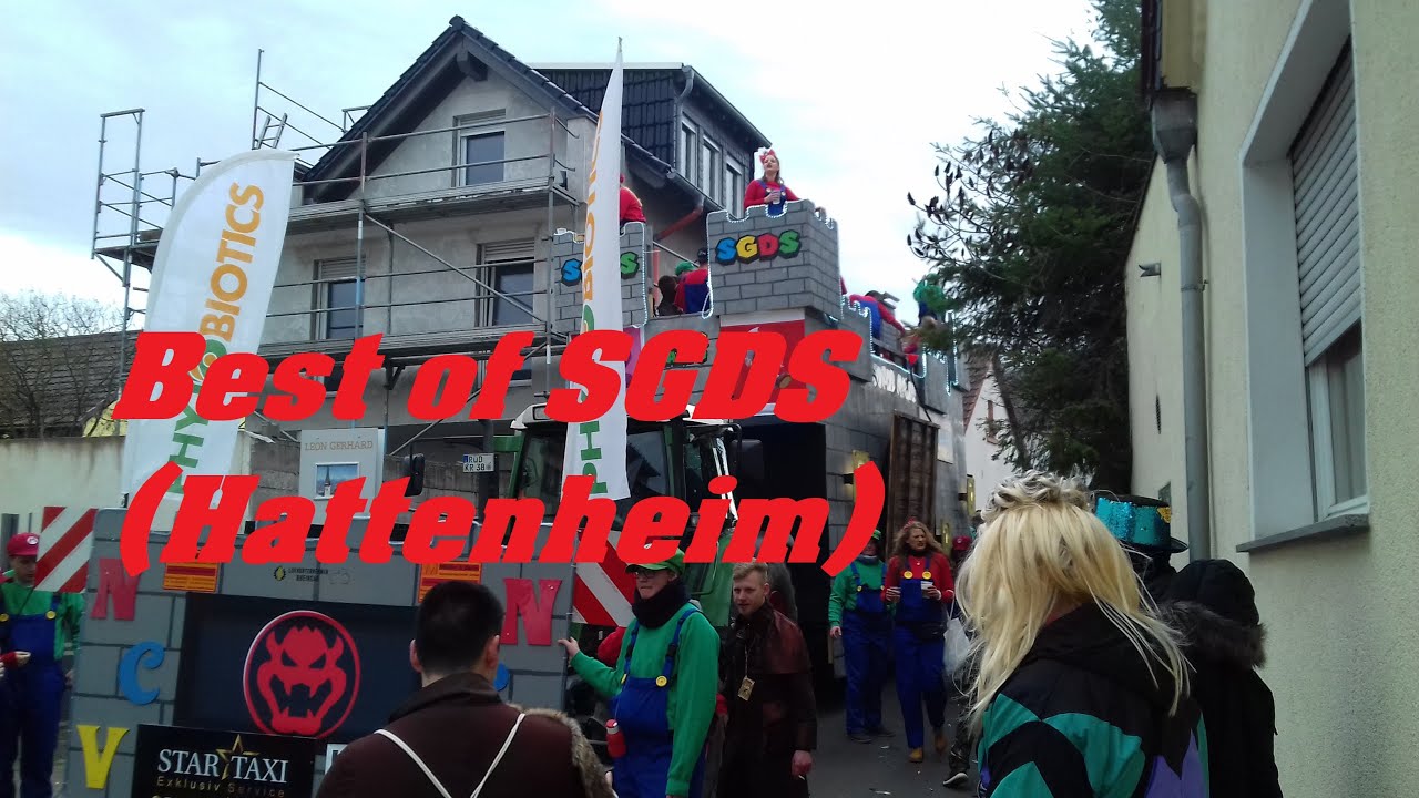 Best of SGDS 2020 (Hattenheim) [Rheingauer Fastnacht 2020] #sgds