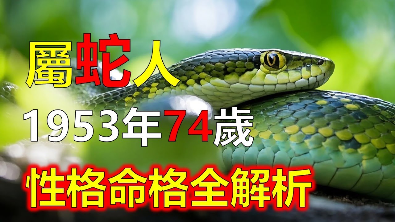 1953年屬蛇人，性格命格全解析#2026蛇#生肖蛇 #1953蛇