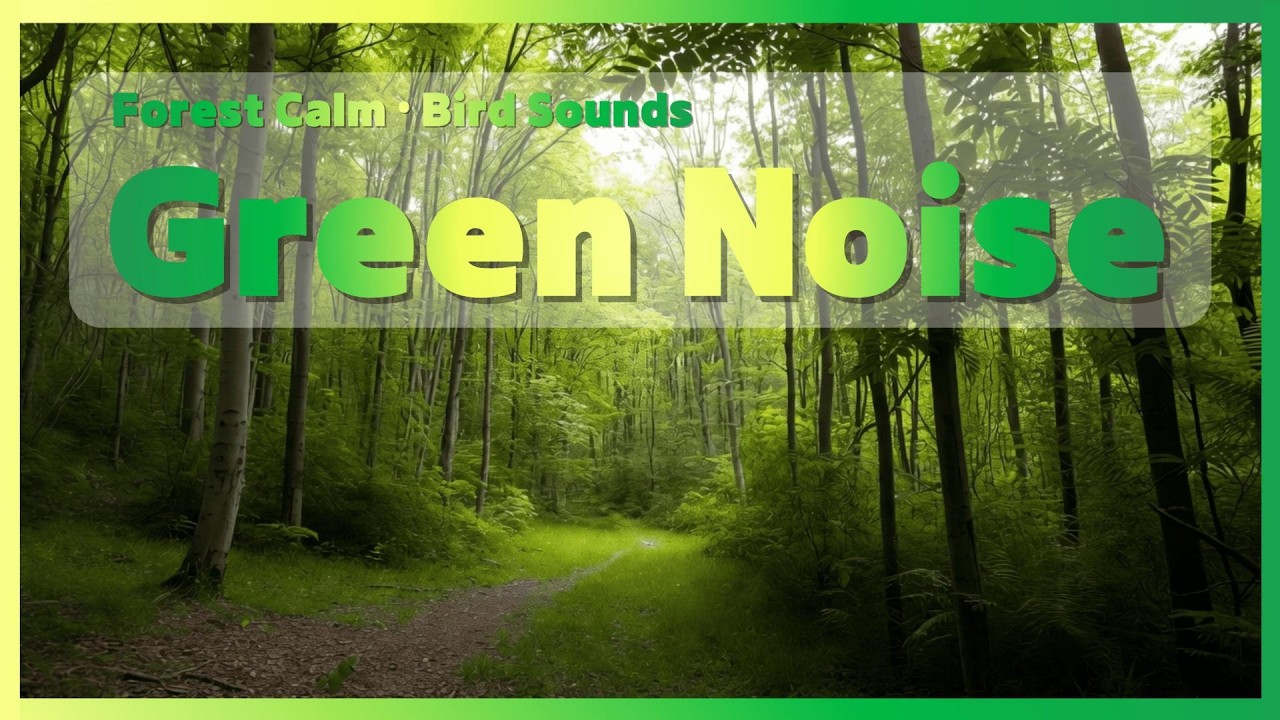 8시간 🍃숲속의 그린노이즈와 새소리 #02 | 마음을 정화하는 힐링 사운드 (10분뒤 화면 꺼짐)