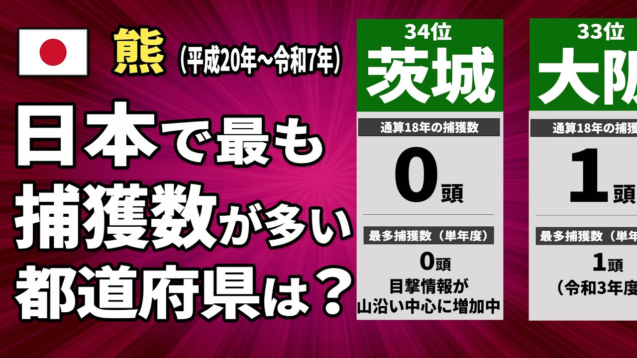 令和の熊問題｜都道府県別・捕獲数ランキングで見る日本の現実