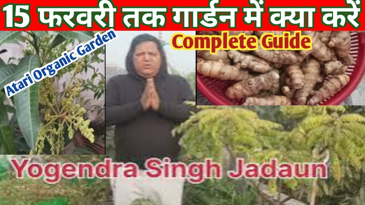 15 फरवरी तक गार्डन में क्या करें ? Complete Guide !