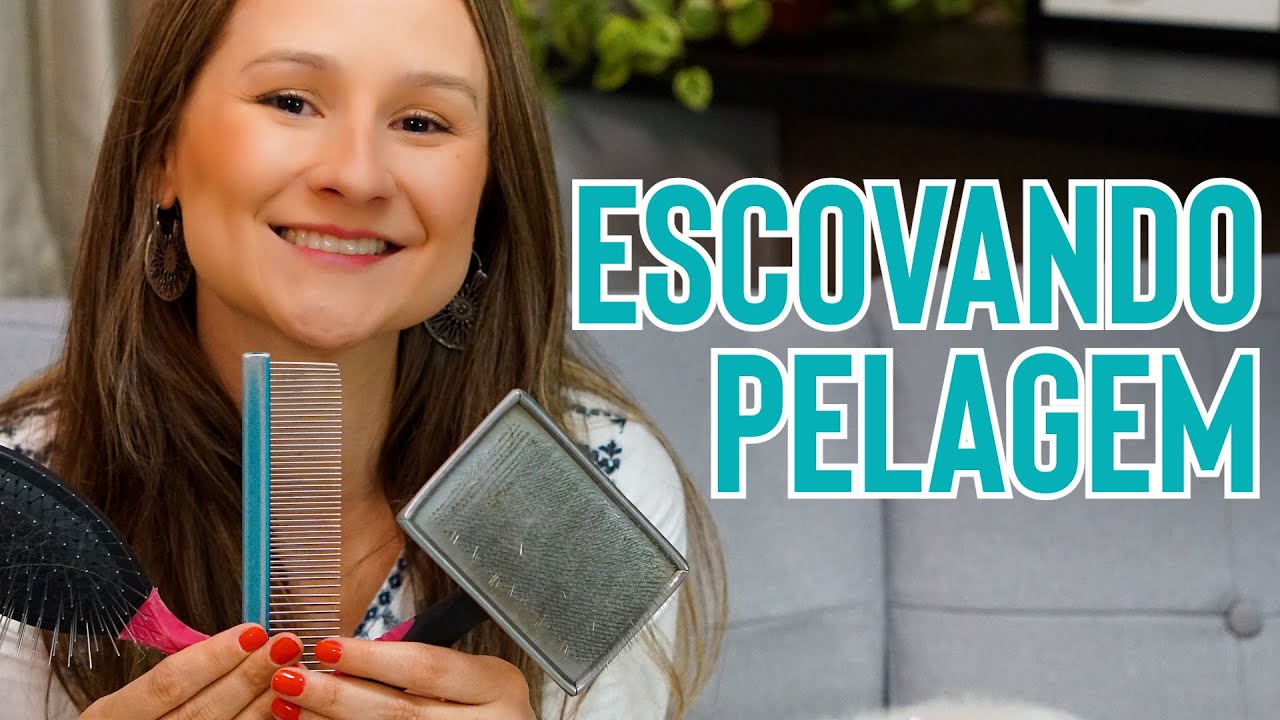 Como Escovar os Pelos do Cachorro (Tipos de Escovas) Lhasa Apso