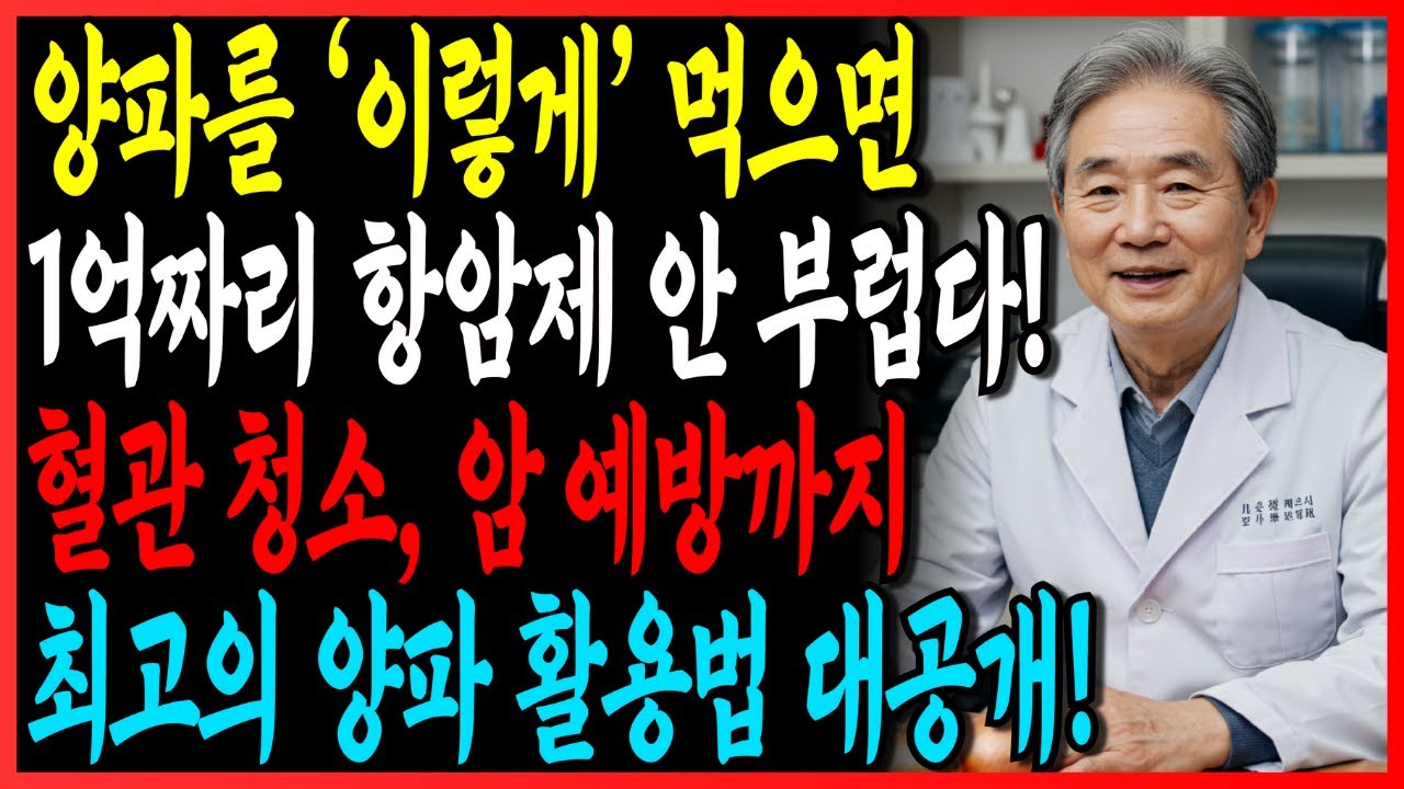 양파를 '이렇게' 먹으면 1억짜리 항암제 안 부럽다! 혈관 청소, 암 예방까지 최고의 양파 활용법!