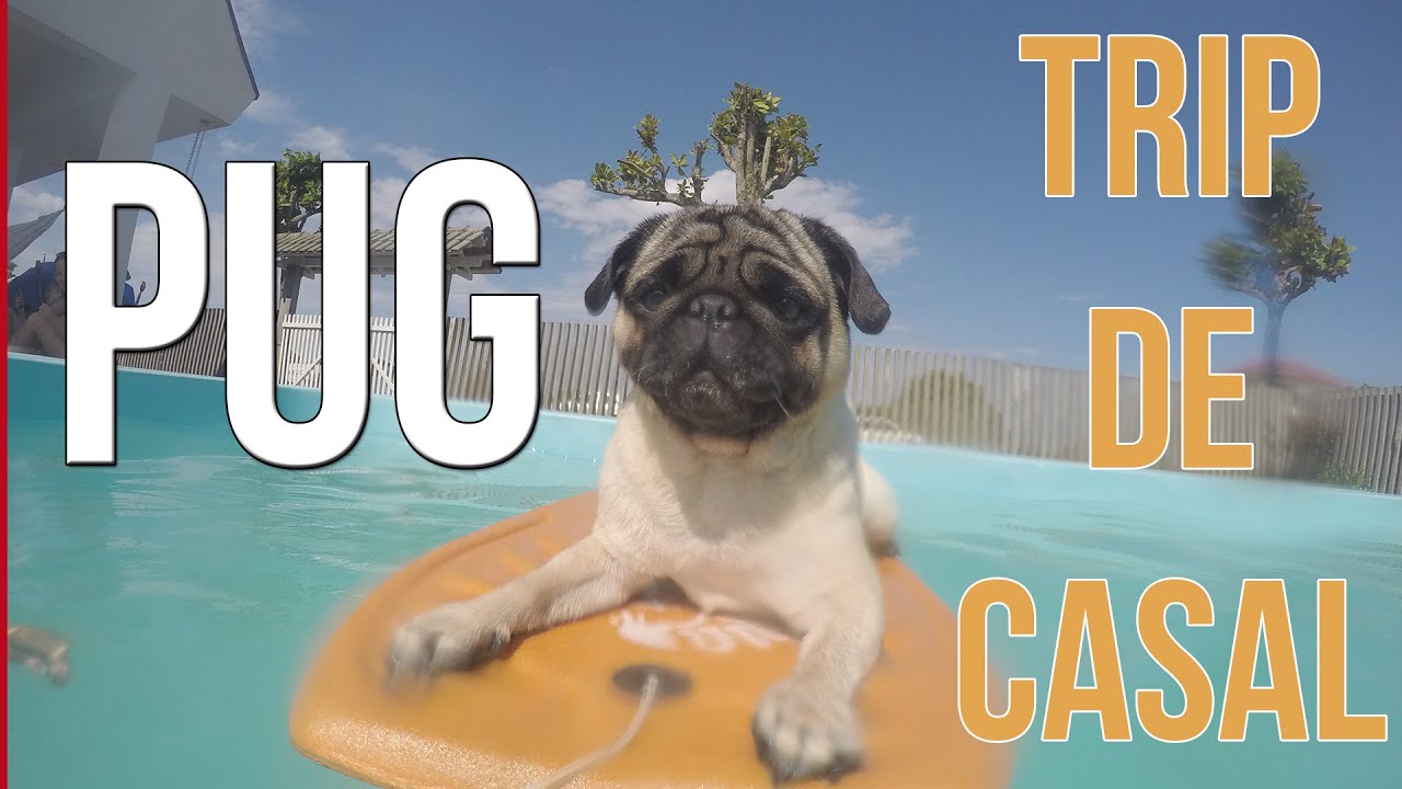 Como &eacute; ter um PUG? - Feat - Trip de Casal