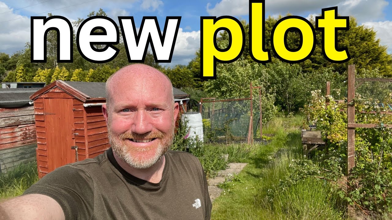 New Allotment Plot Tour | First Look & What Needs Doing! | The Journey Begins