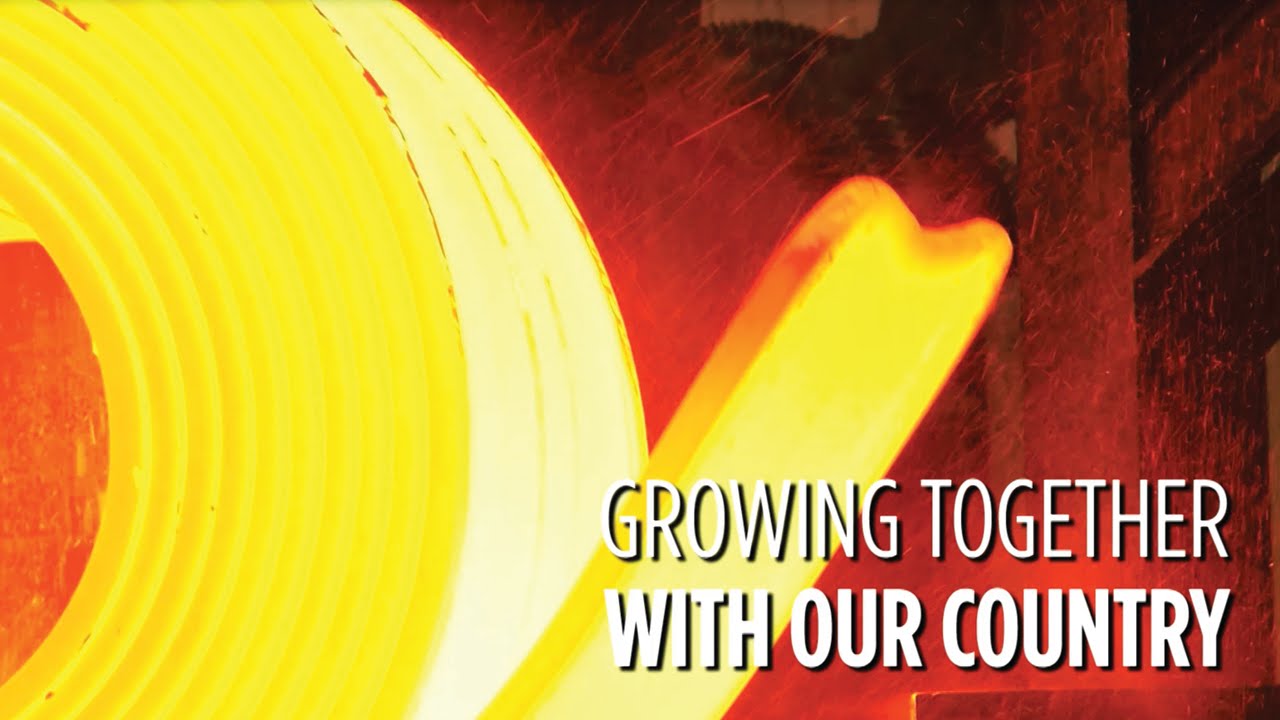 Erdemir Group